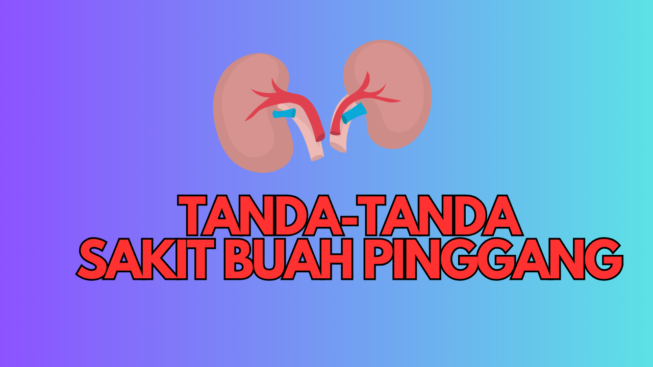 TANDA TANDA SAKIT BUAH PINGGANG