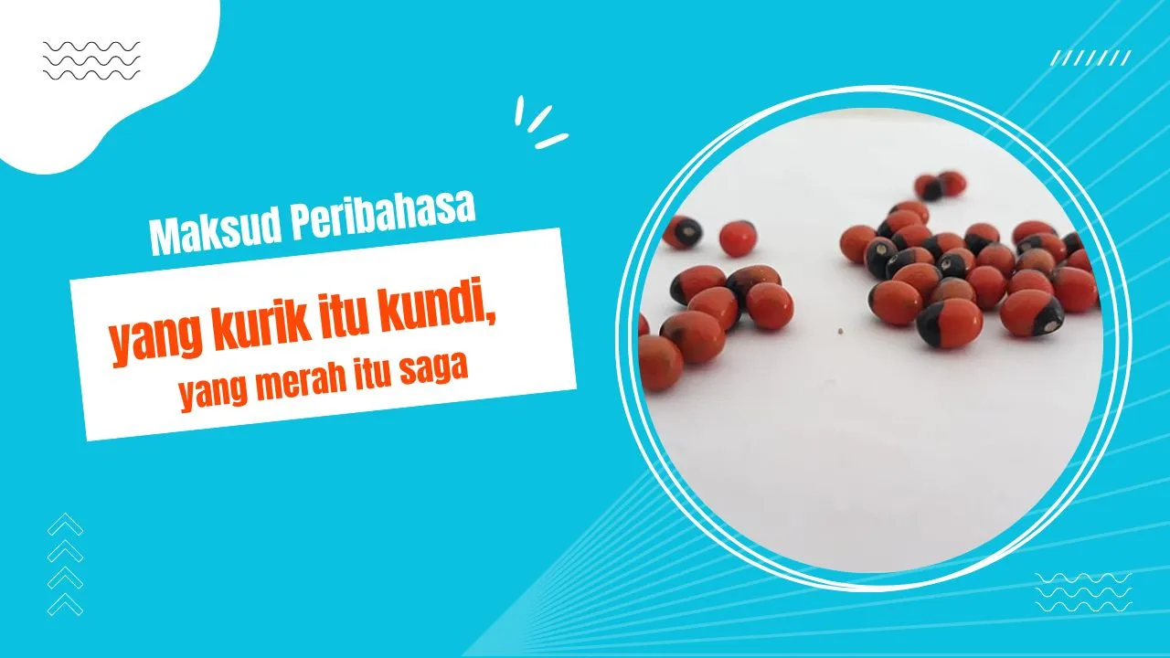 maksud yang kurik itu kundi