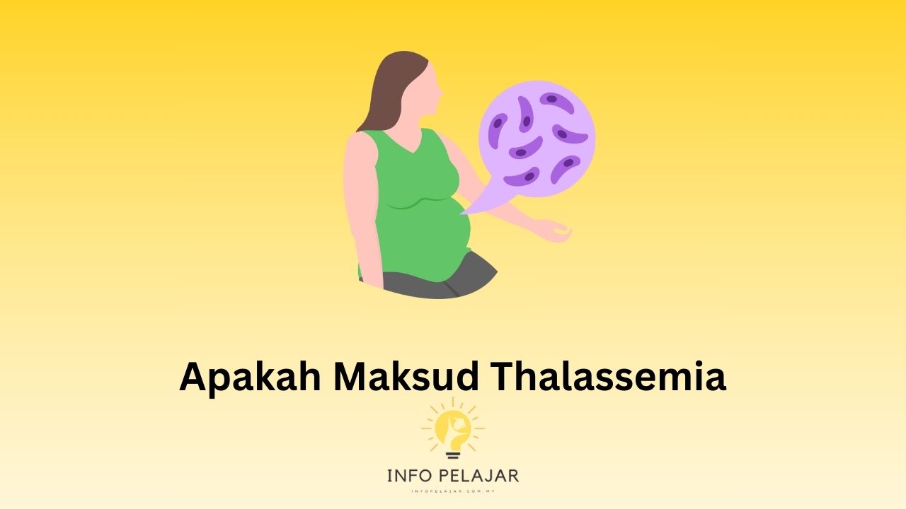 Apakah Maksud thalassemia