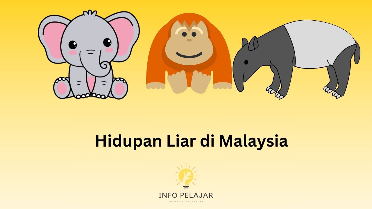 Hidupan Liar di Malaysia