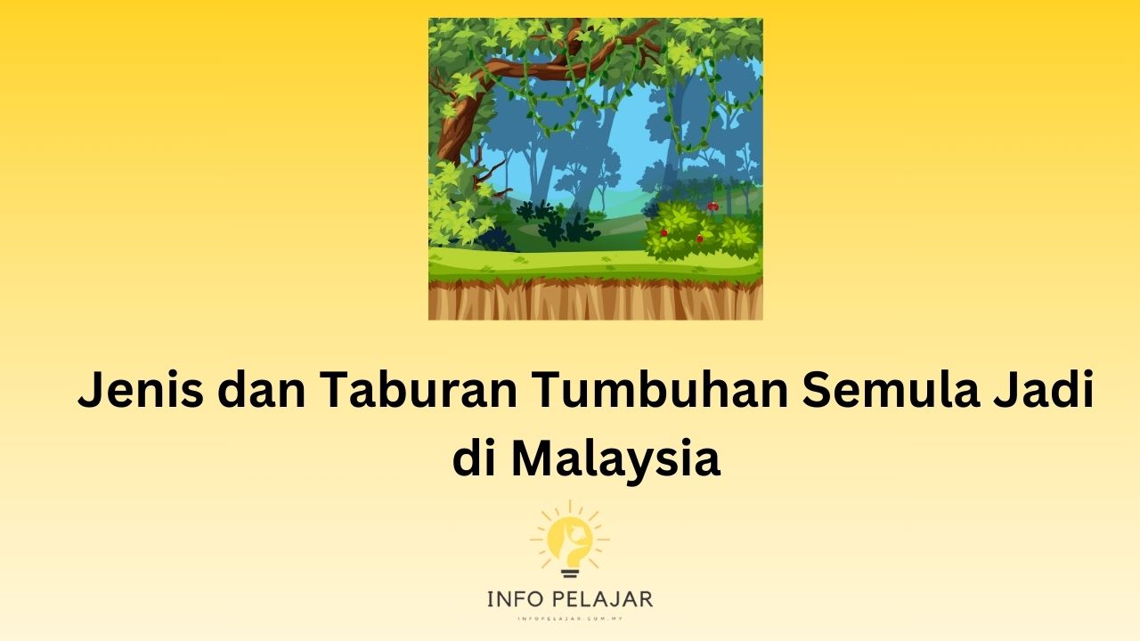 Jenis dan Taburan Tumbuhan Semula Jadi di Malaysia