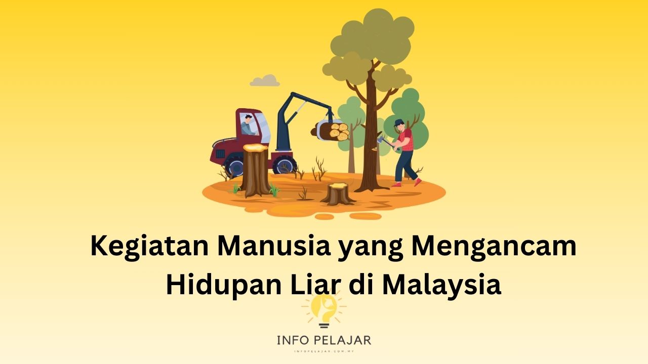 Kegiatan Manusia yang Mengancam Hidupan Liar di Malaysia