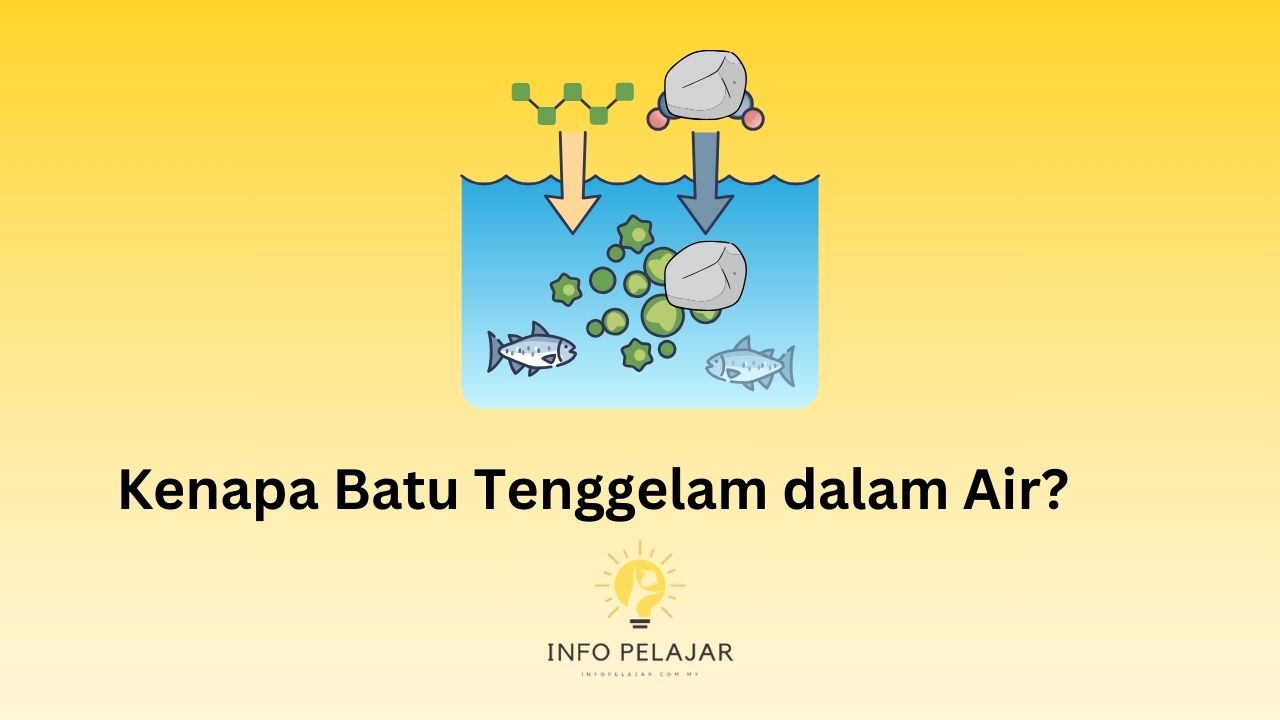 Kenapa Batu Tenggelam dalam Air?