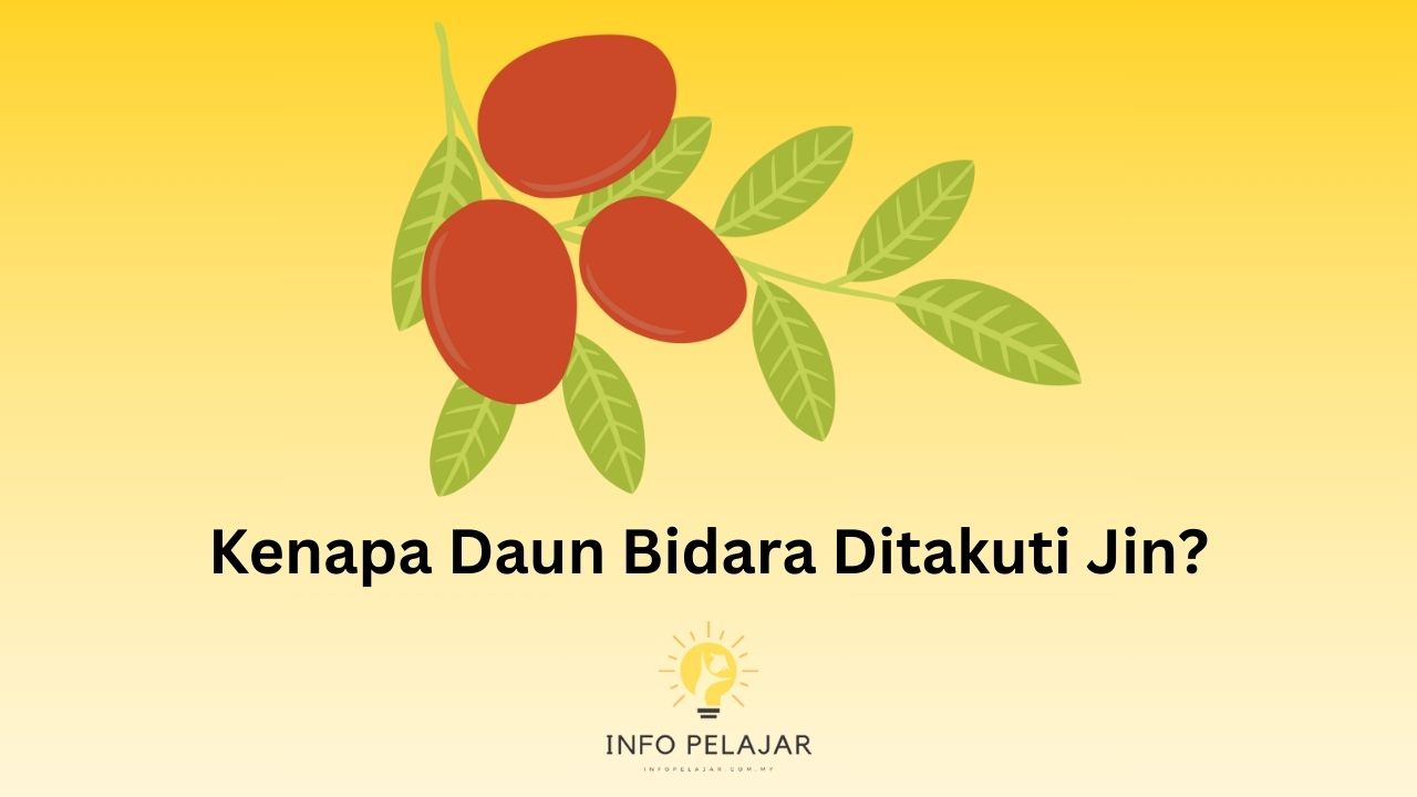 Kenapa Daun Bidara Ditakuti Jin?