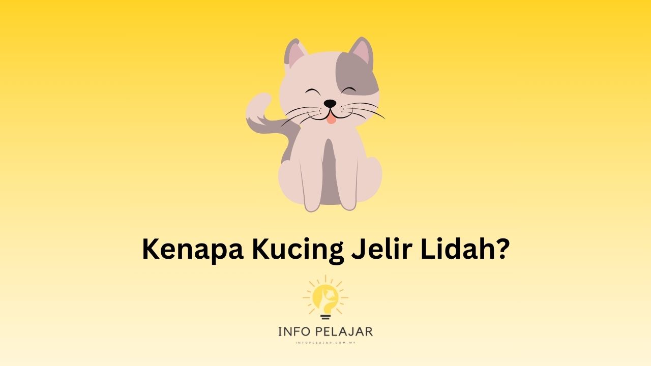Kenapa Kucing Jelir Lidah