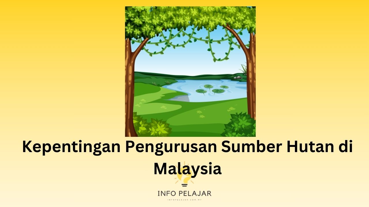 Kepentingan Pengurusan Sumber Hutan di Malaysia