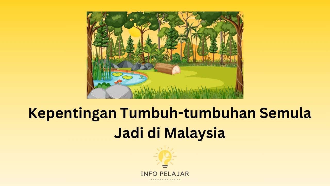 Kepentingan Tumbuh-tumbuhan Semula Jadi di Malaysia