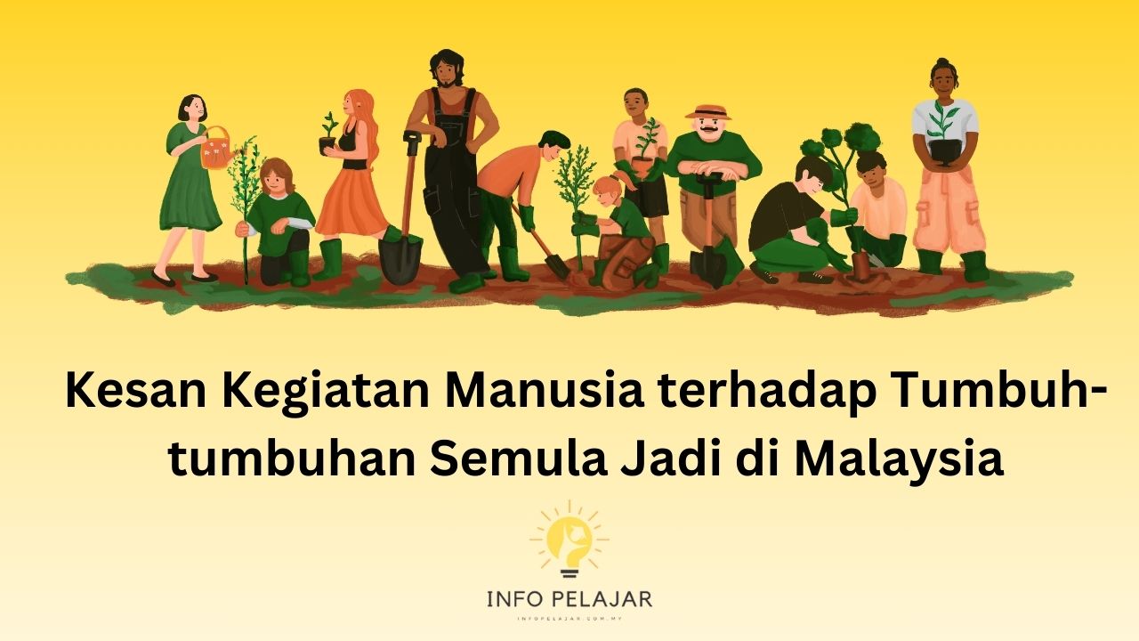 Kesan Kegiatan Manusia terhadap Tumbuh-tumbuhan Semula Jadi di Malaysia