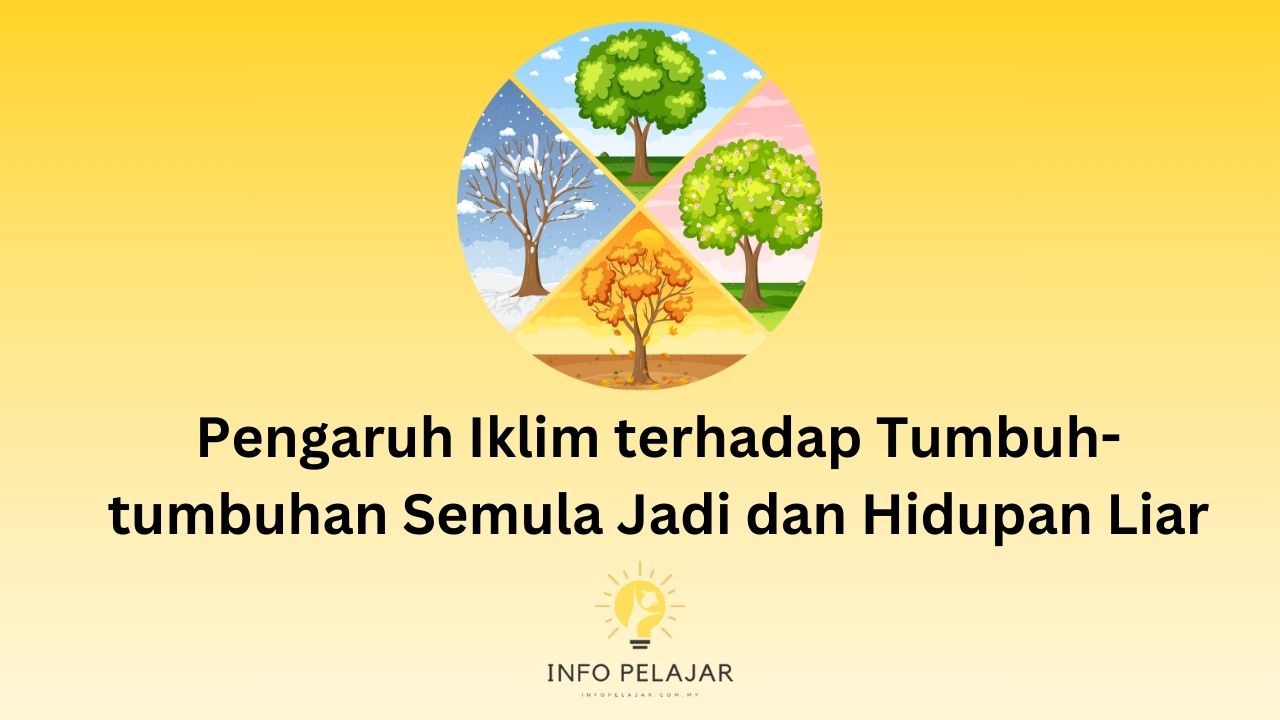 Pengaruh Iklim terhadap Tumbuh-tumbuhan Semula Jadi dan Hidupan Liar
