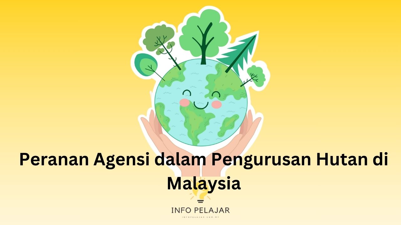 Peranan Agensi dalam Pengurusan Hutan di Malaysia