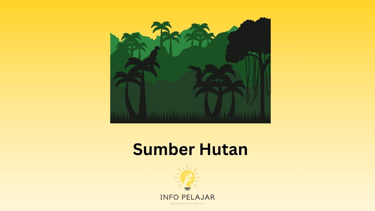 Sumber Hutan