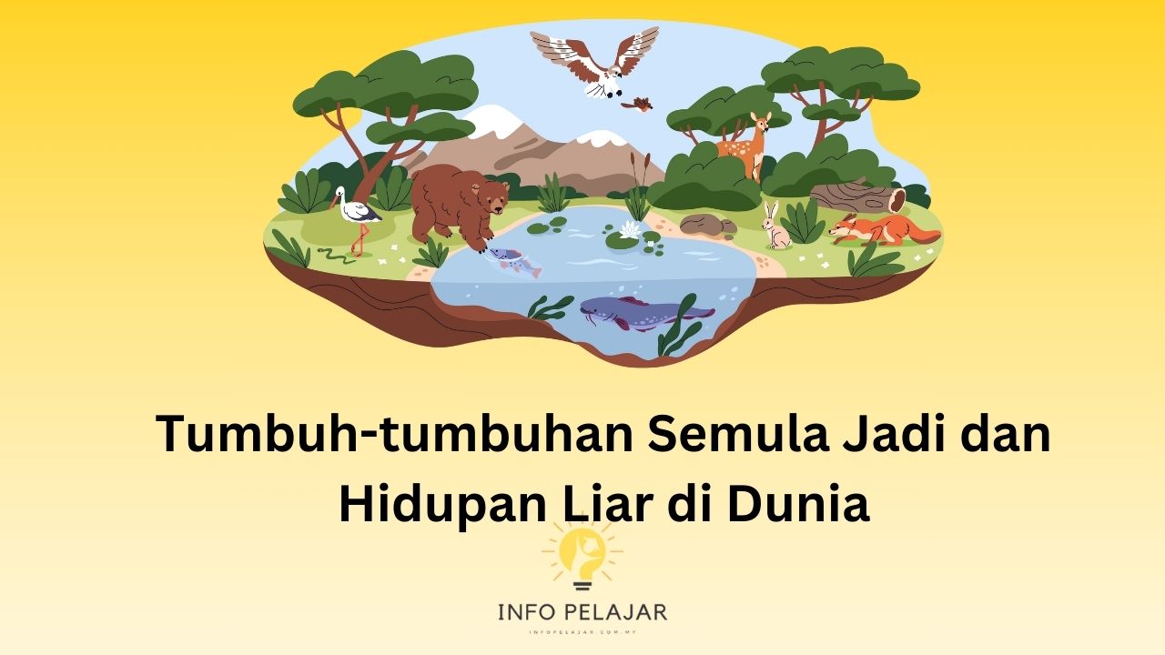 Tumbuh-tumbuhan Semula Jadi dan Hidupan Liar di Dunia