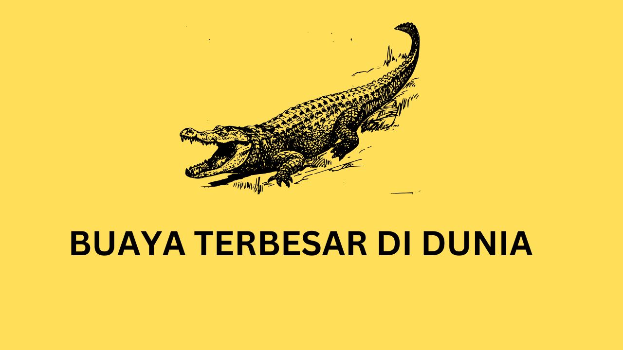 buaya terbesar di dunia