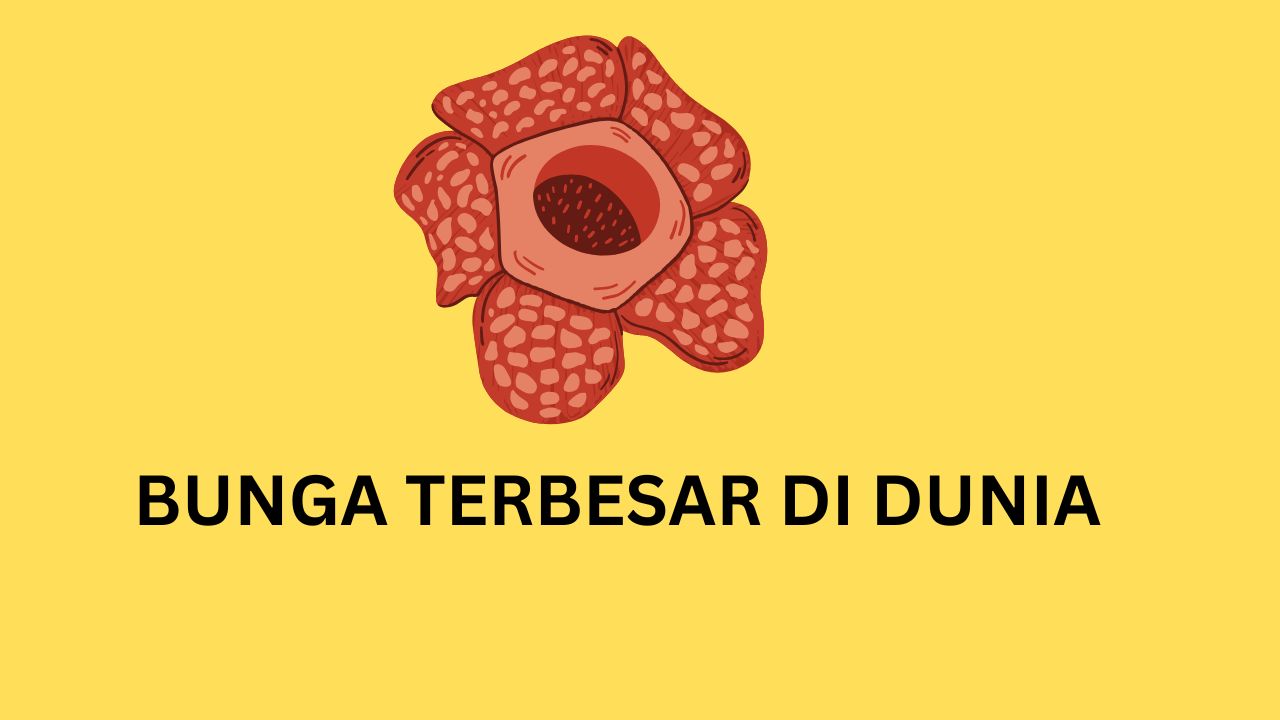 bunga terbesar di dunia