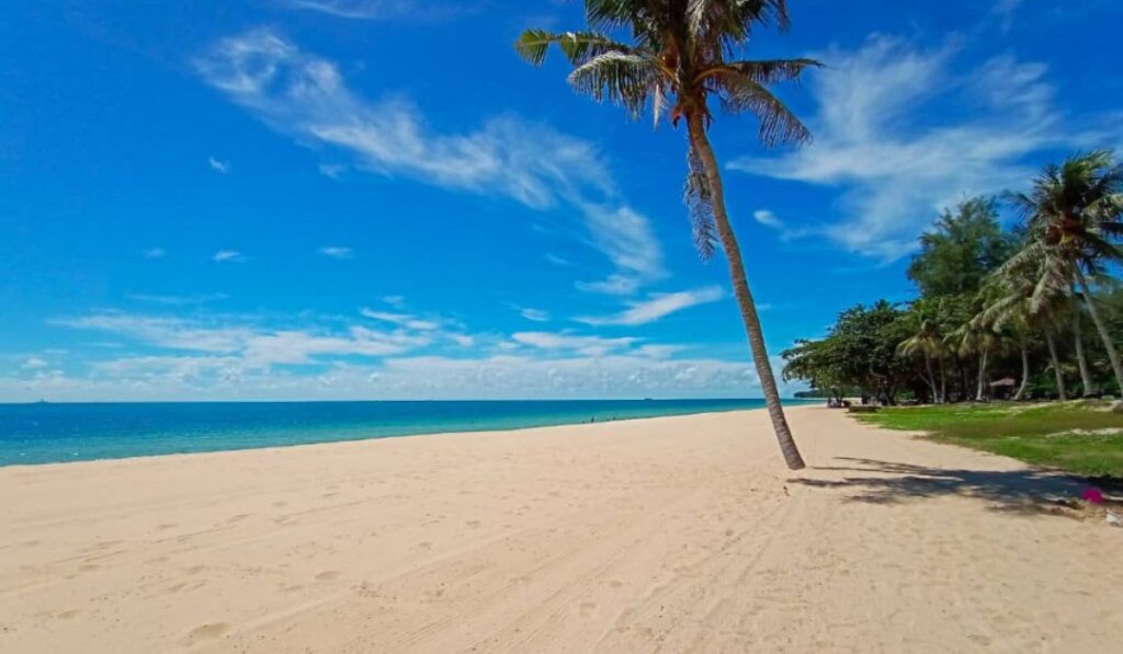 pantai desaru