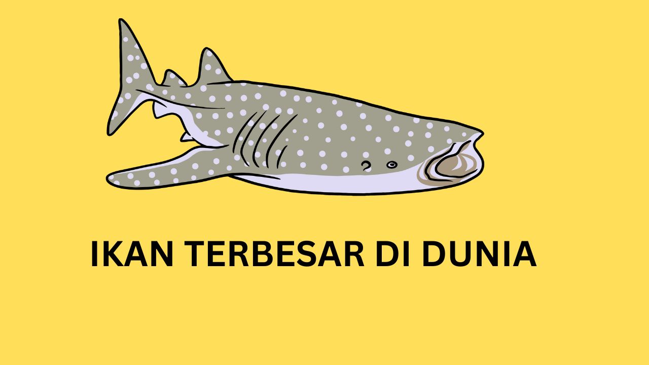 ikan terbesar di dunia