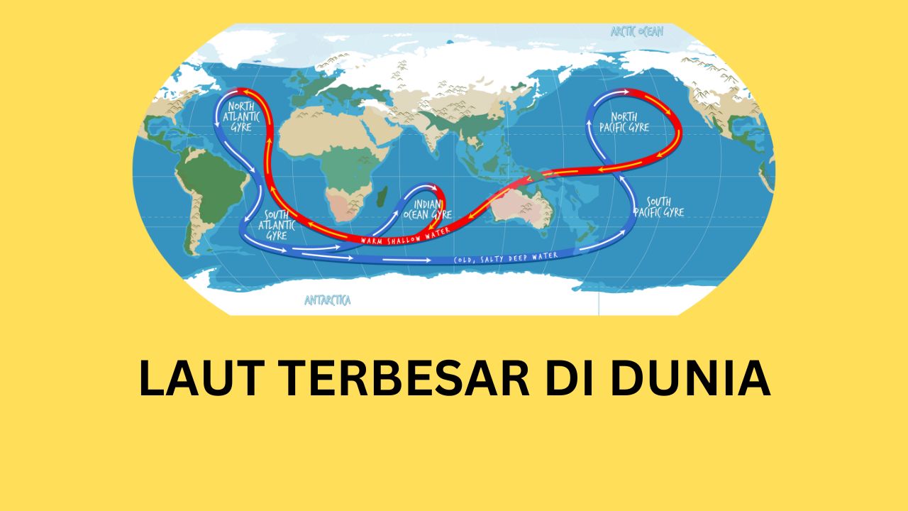 laut terbesar di dunia
