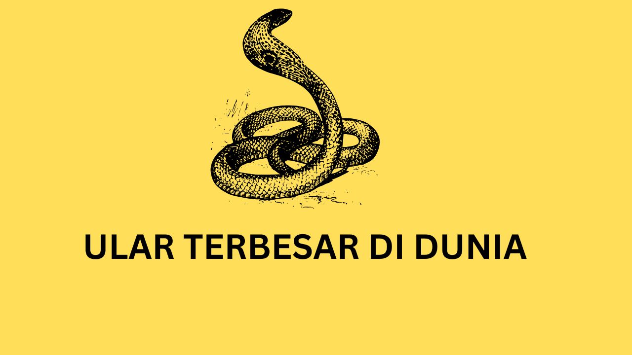 ular terbesar di dunia