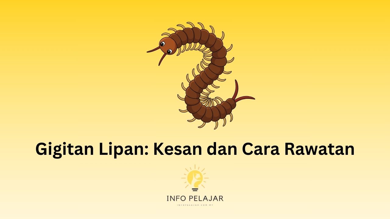 Gigitan Lipan Kesan dan Cara Rawatan