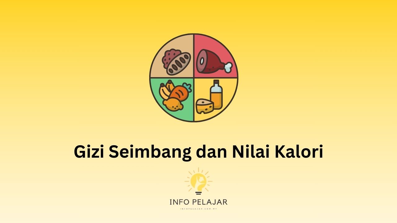 Gizi Seimbang dan Nilai Kalori