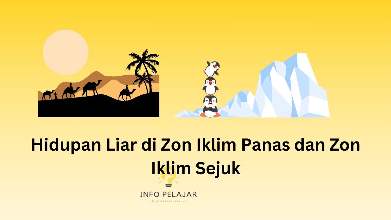 Hidupan Liar di Zon Iklim Panas dan Zon Iklim Sejuk