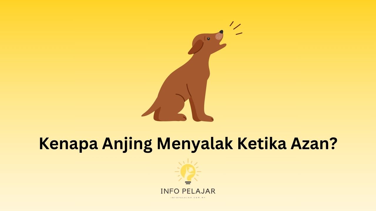 Kenapa Anjing Menyalak Ketika Azan?