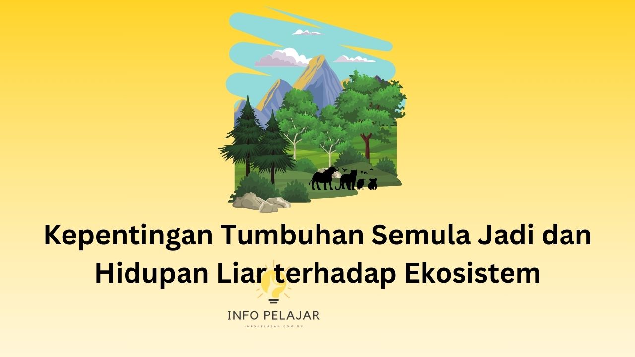 Kepentingan Tumbuhan Semula Jadi dan Hidupan Liar terhadap Ekosistem