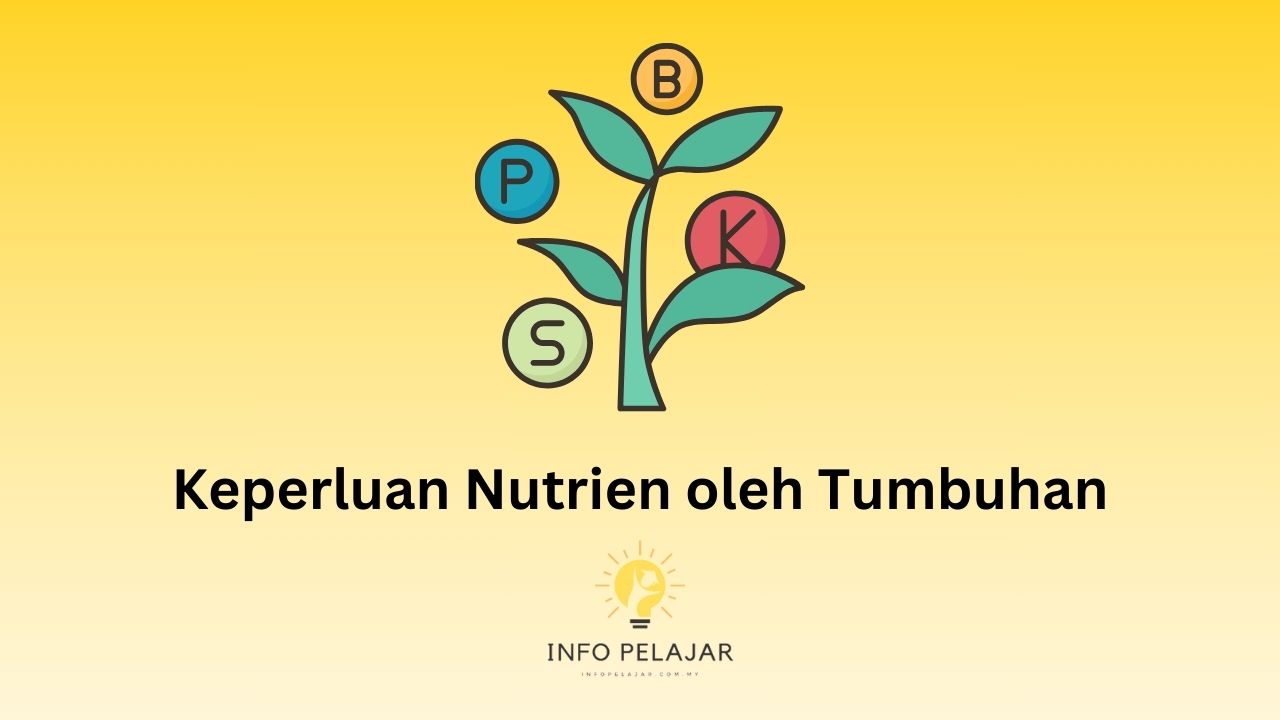 Keperluan Nutrien oleh Tumbuhan