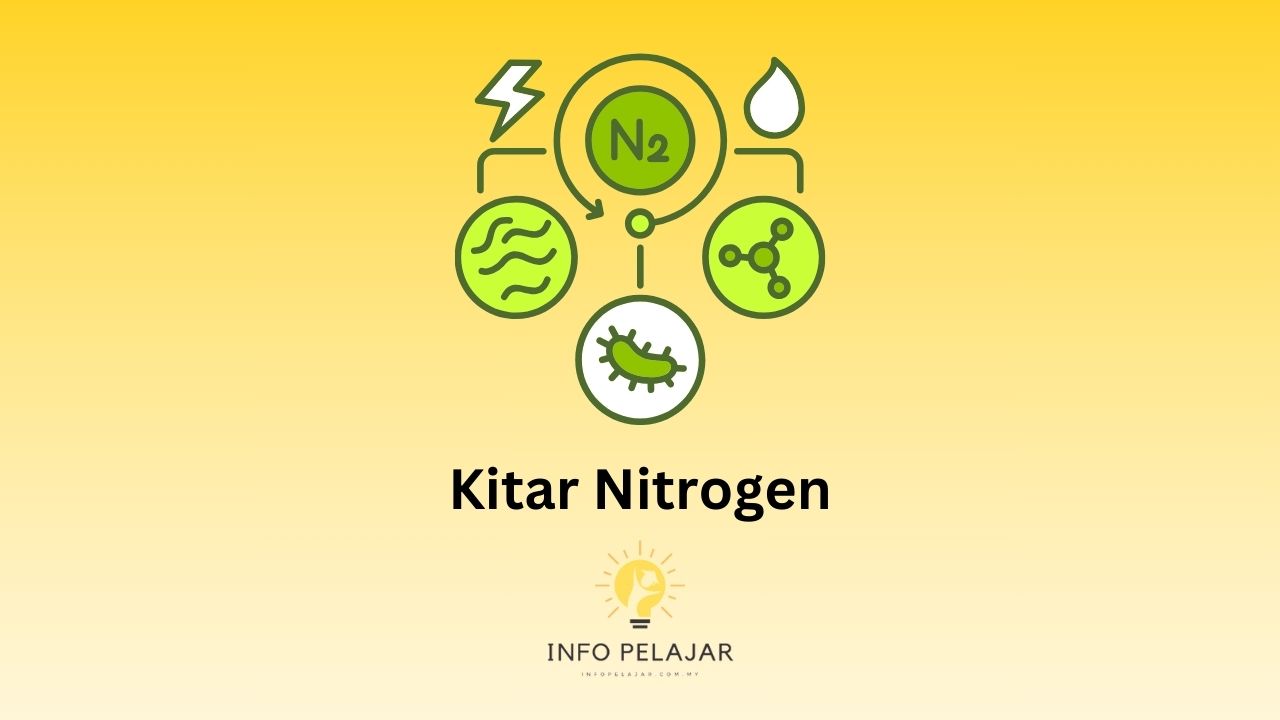 Kitar Nitrogen
