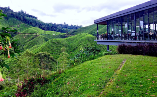 Tempat Menarik di Cameron Highlands