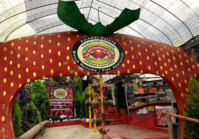 Tempat Menarik di Cameron Highlands