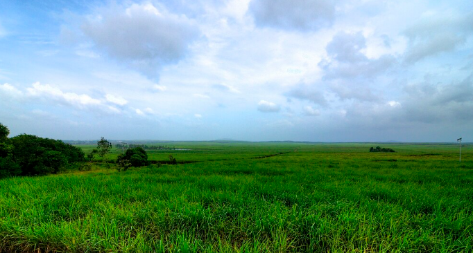 Tempat Menarik di Perlis