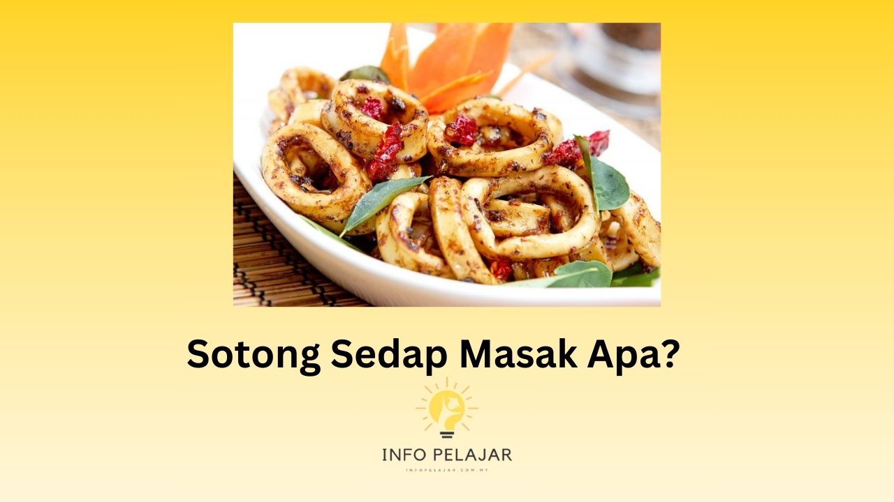 Sotong Sedap Masak Apa
