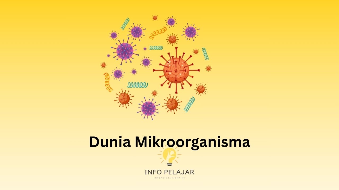 dunia mikroorganisma