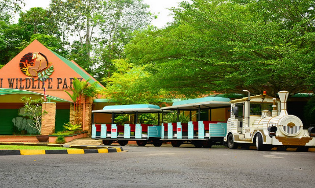 lok kawi wildlife