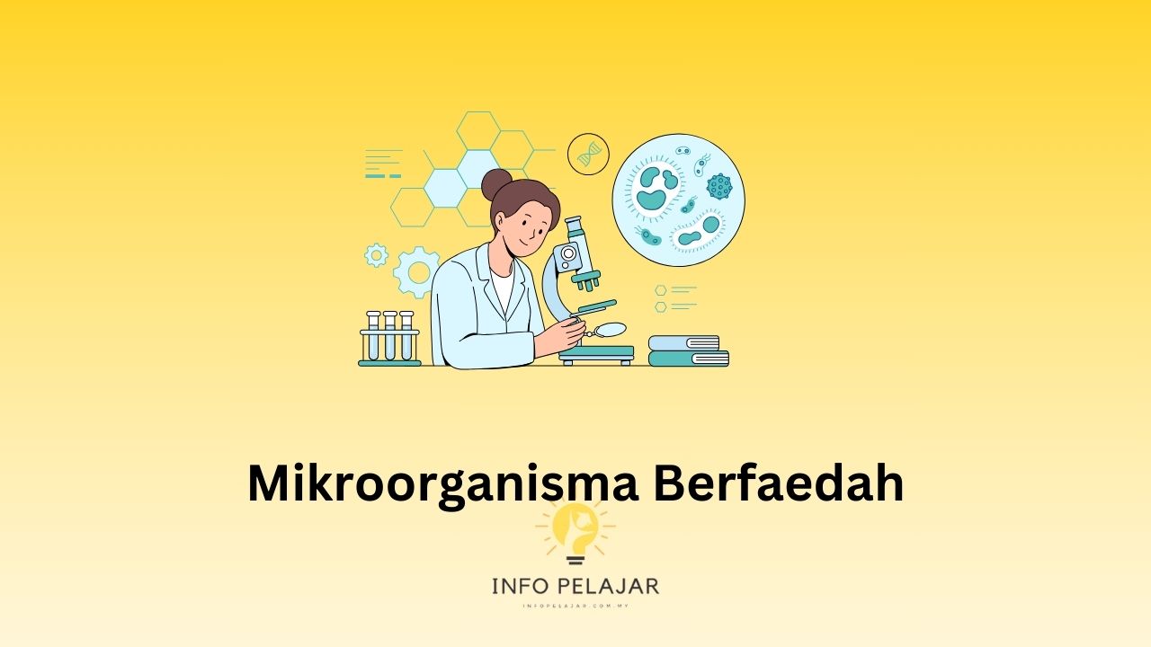 mikroorganisma berfaedah